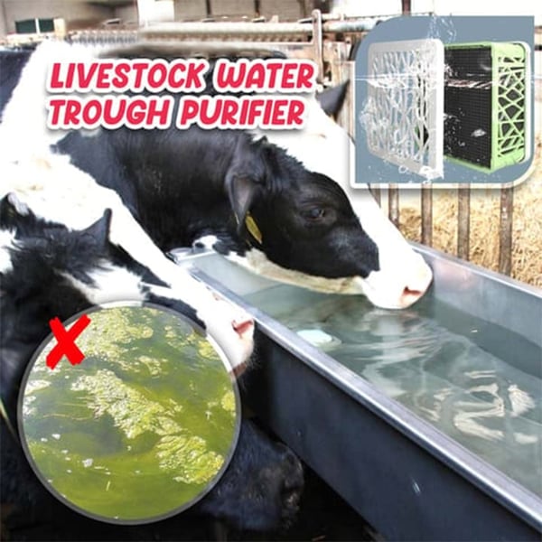 🔥 48% OFF 🔥 Livestock Water Trough Purifier 