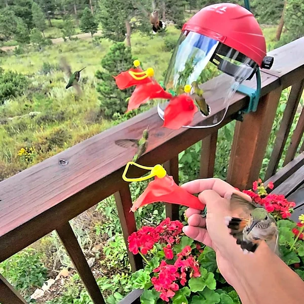 🔥Hot Sale🔥Portable head mounted outdoor bird feeder
