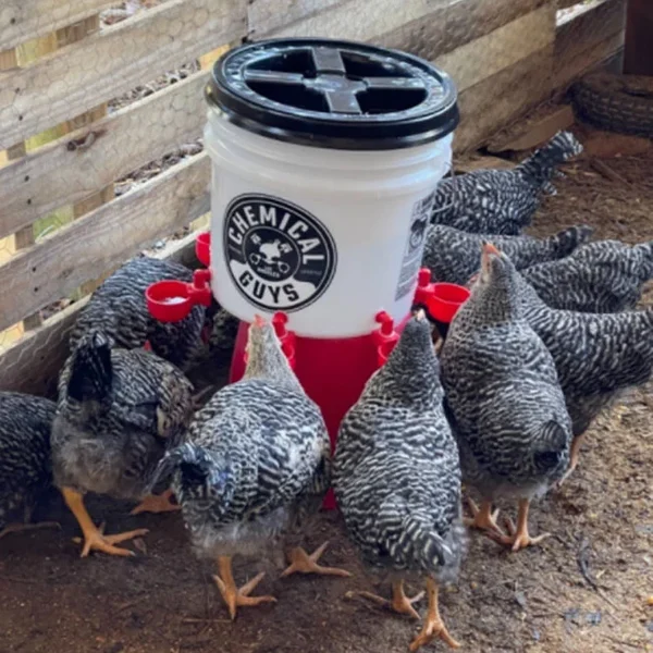 (🔥48% OFF) 6PCS/SET Automatic Chicken Water Cup Waterer Kit-BUY 2 GET 1 FREE