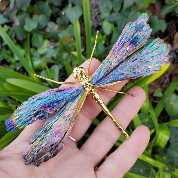 🔥BIG SALE - 49% OFF🔥💥AURA TOURMALINE KYANITE DRAGONFLY💥