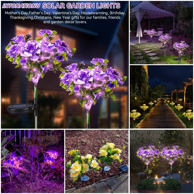 Solar Carnation Flower Landscape Light