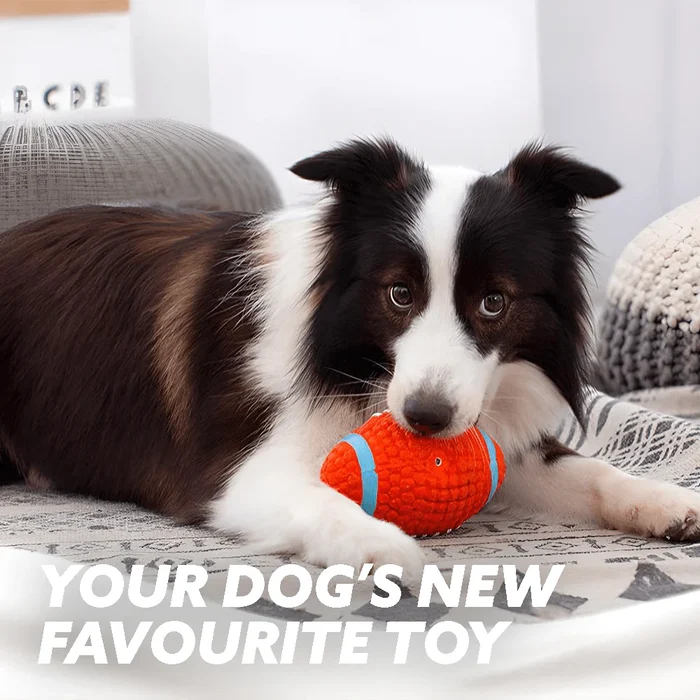 🐶Immortal Toy for Aggressive Chewers - Buy 3 Get 1 Free & Free Shipping