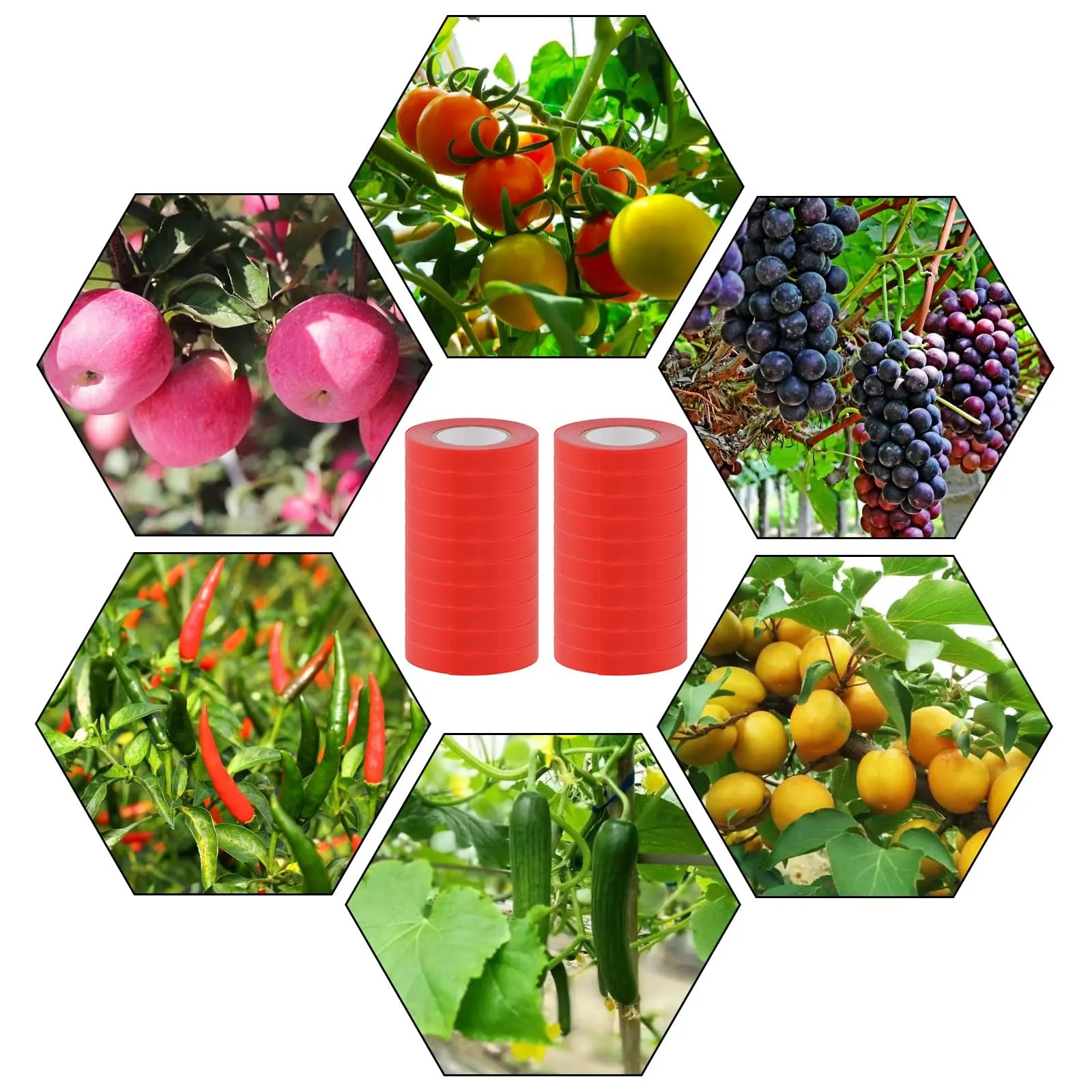 🔥49% OFF ENDS TODAY | 💥 Plant Tying Machine