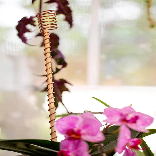 12"Electroculture Plant Stakes, High-Yield, Eco-Friendly