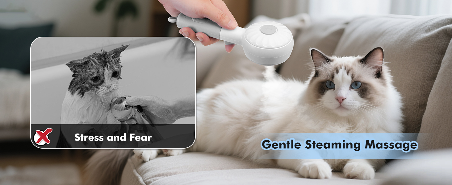 cat brush with steam