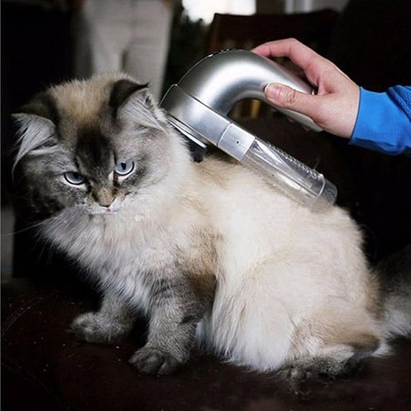 Handheld vacuum for pet hair