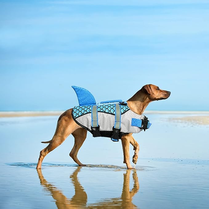 dog life jacket