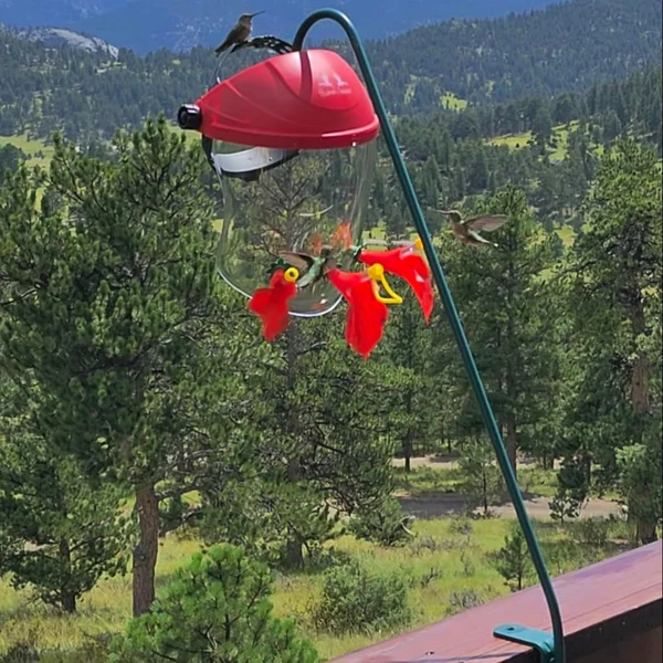 🔥Hot Sale🔥Portable head mounted outdoor bird feeder