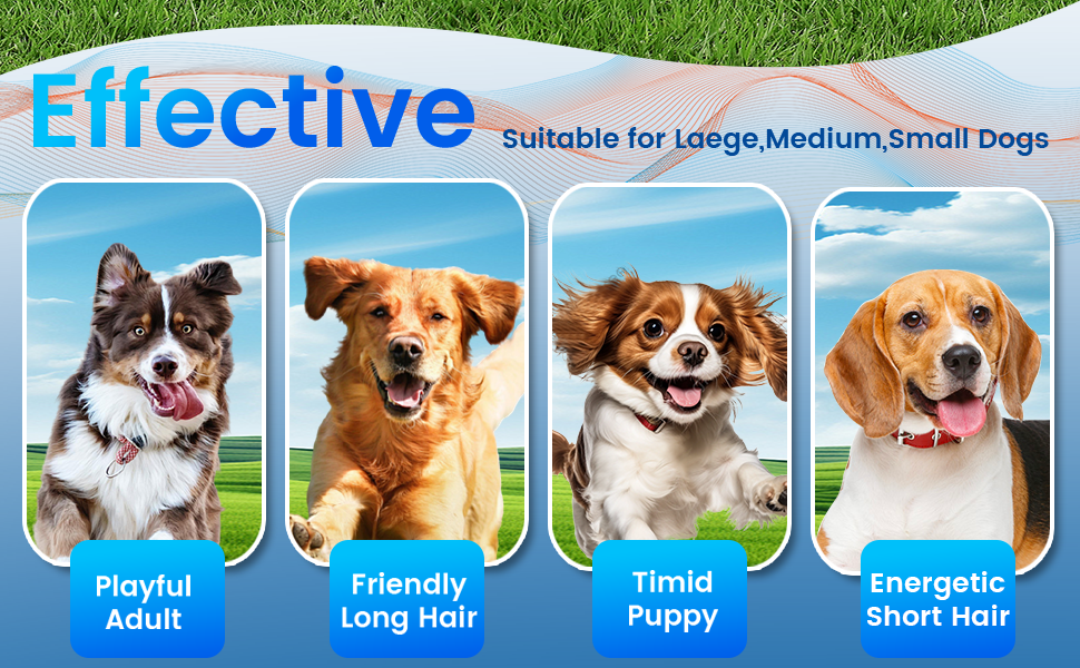 ABRKDOG Anti Barking Device