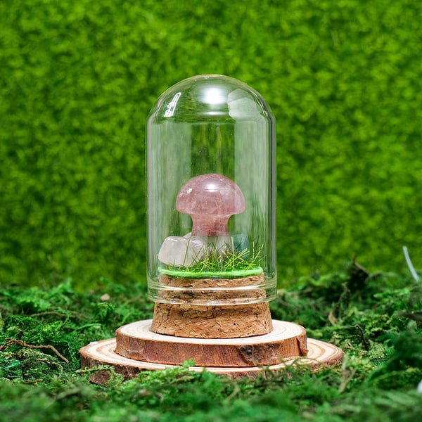 🍄Mini Crystal Mushroom Terrariums| Choose Your Natural crystal Mushroom