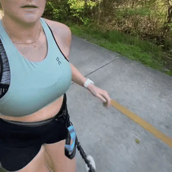 Hands Free Dog Leash Durable Bungee for Walking