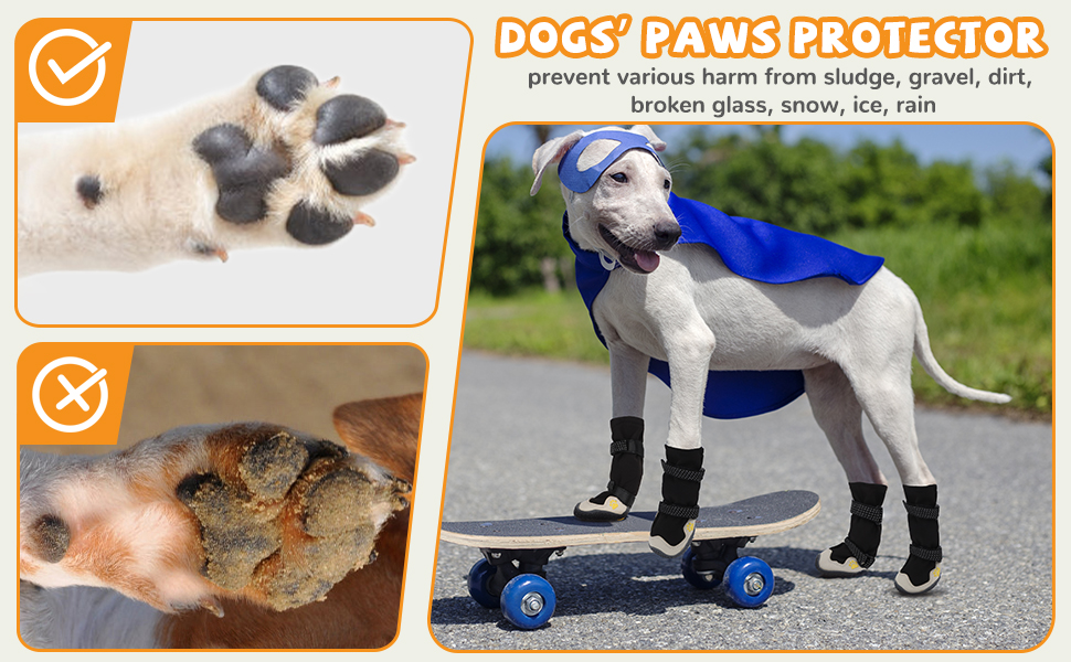 dog booties and paw protectors