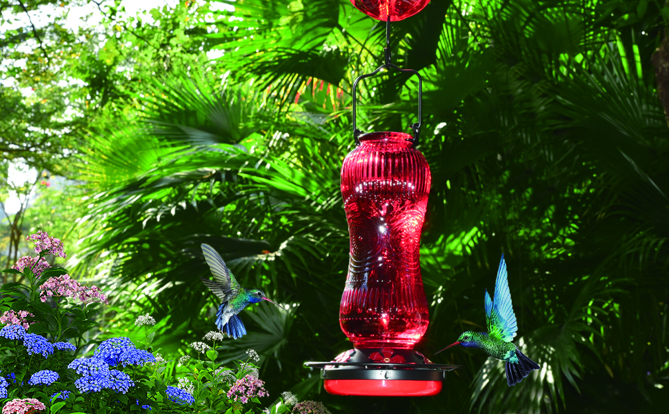 glass hummingbird feeders for outdoors
