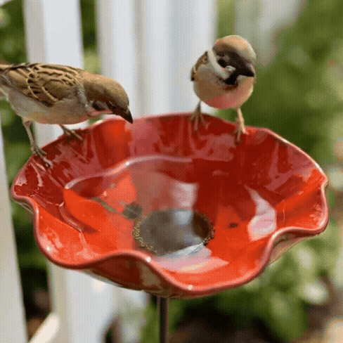 💖🎁2026 Mother's Day Gifts 50% Off--🎁Metal Flower Garden Stake🐦