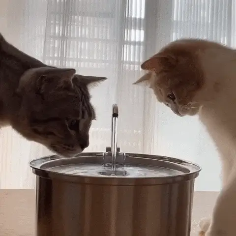 Petsboro™ Stainless Cat Water Fountain