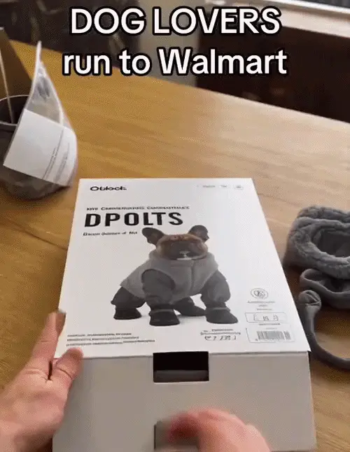 Dog Paw Protection Suit