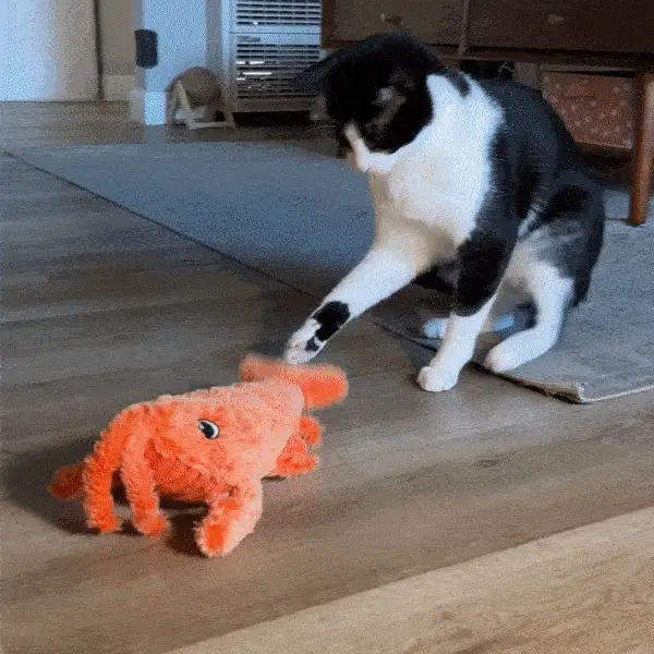 Hot Sale🔥Lobster Interactive Dog & Cat Toy