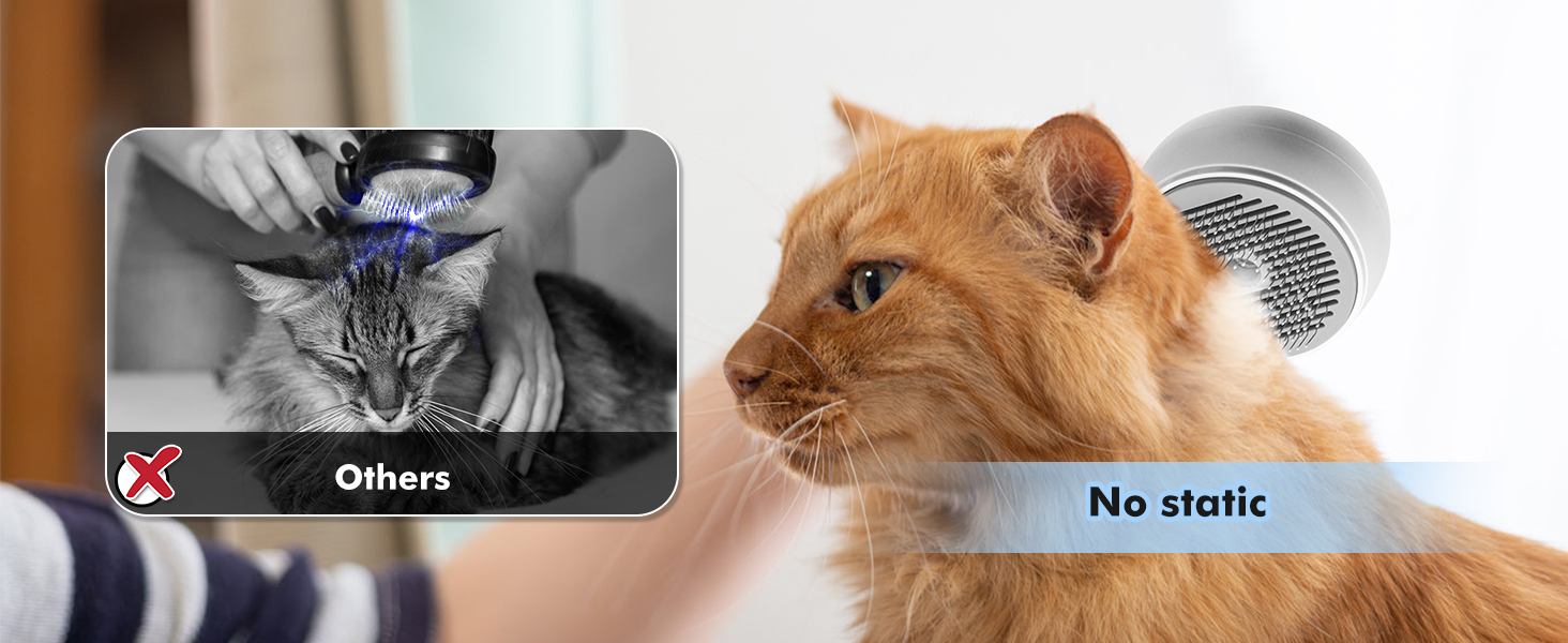 cat steam brush can reduce static electricity generation