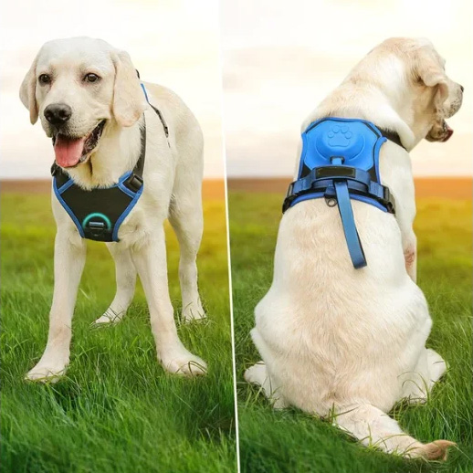 🔥HOT SALE - Dog Harness and Retractable Leash Set All-in-One