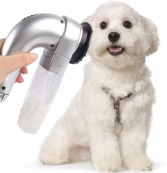Handheld vacuum for pet hair