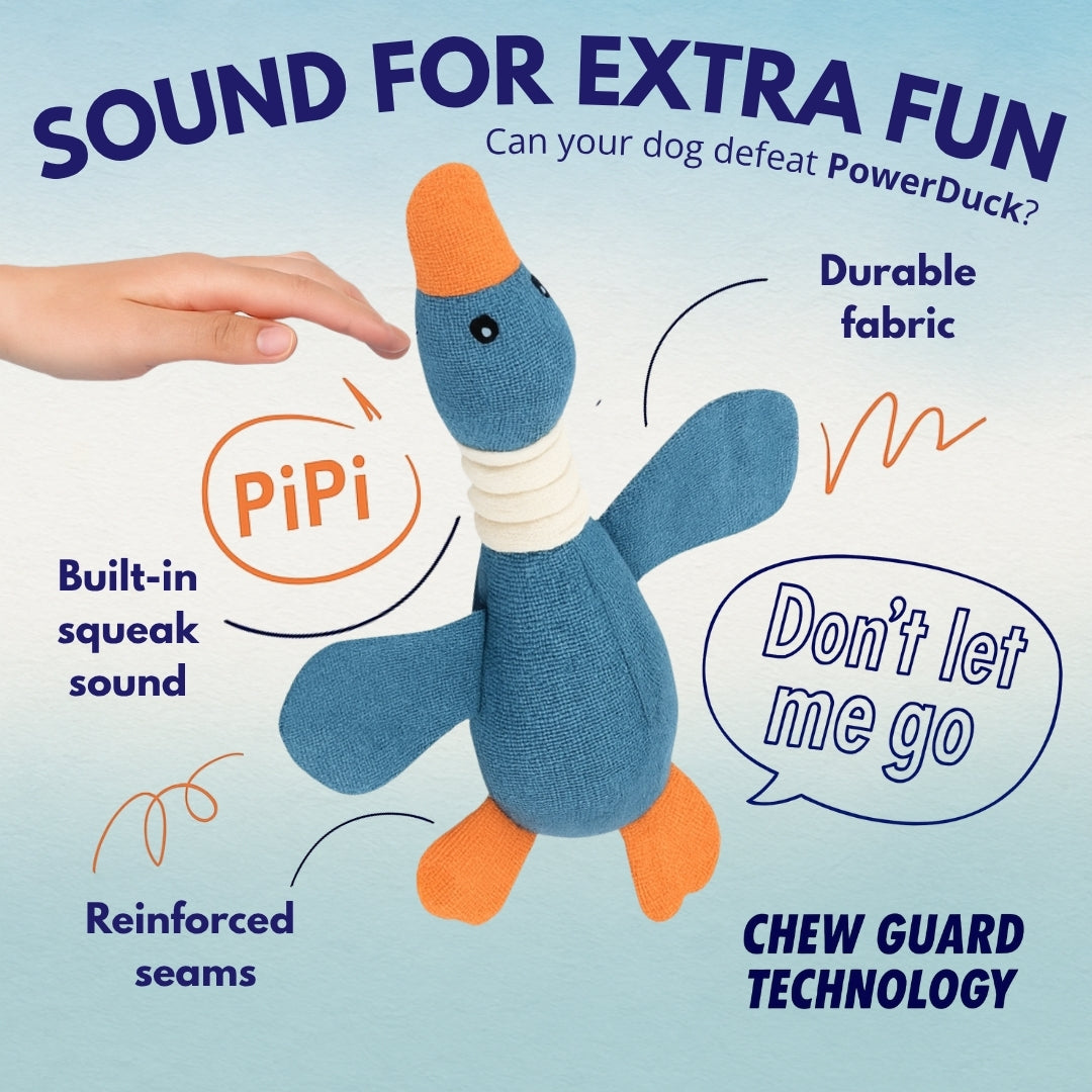 Produktbild 3 ENG powerduck.jpg__PID:4d9f157e-6ad4-4846-a9c4-3010ab748b47