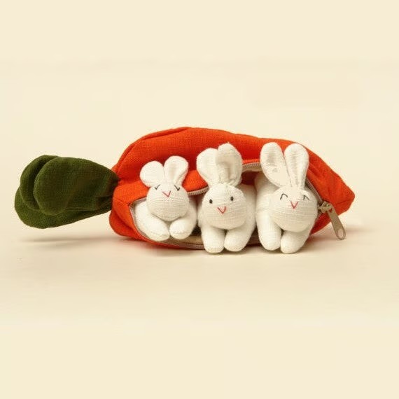 Hide & Seek Plush Bunnies in Carrot Wallet