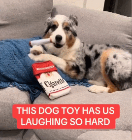 Funny Interactive Giggle Sound Plush Cigarette Dog Toy