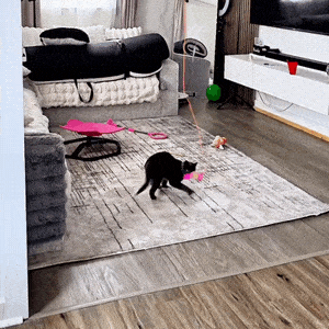 Petsboro™ Automatic Cat Toy
