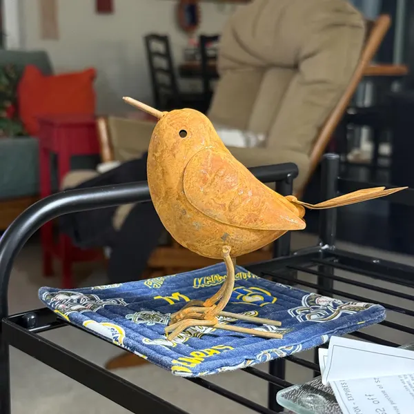 ✨😍Vintage Metal Bird Garden Decor