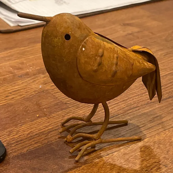 ✨😍Vintage Metal Bird Garden Decor