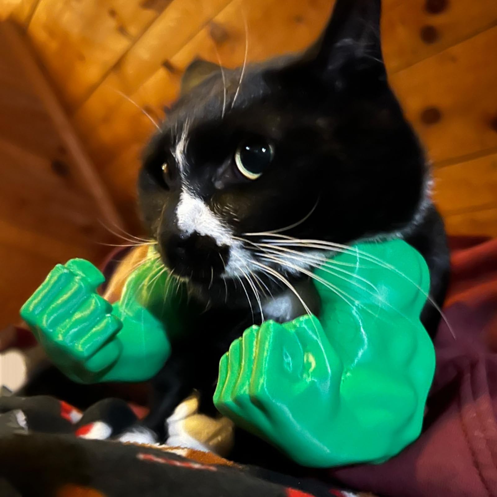 🔥2025 Summer Hot Sale - 48% OFF🔥Cat Muscle Arms – Funny 3D Printed Hulk Arms for Cats💪