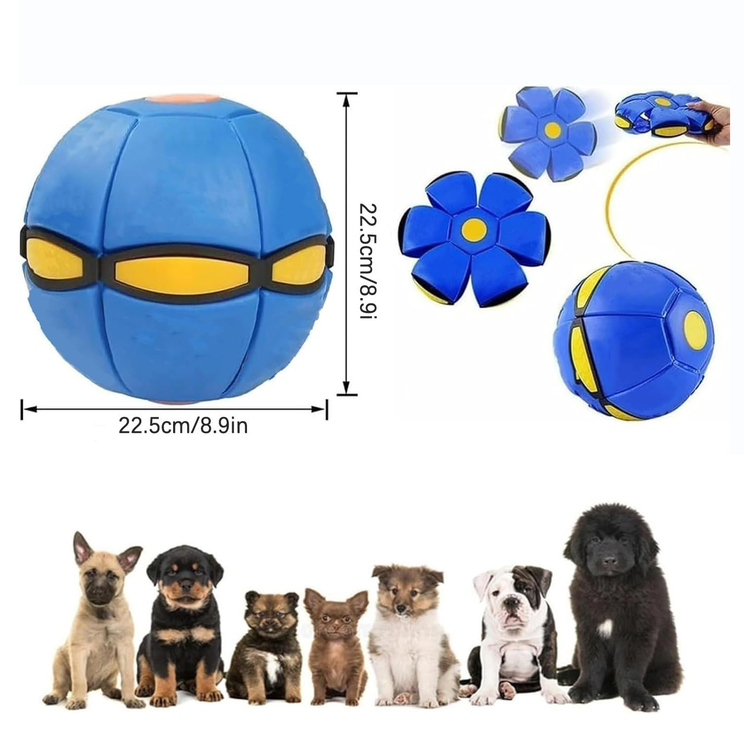 💥The Doggy Disc Ball💞