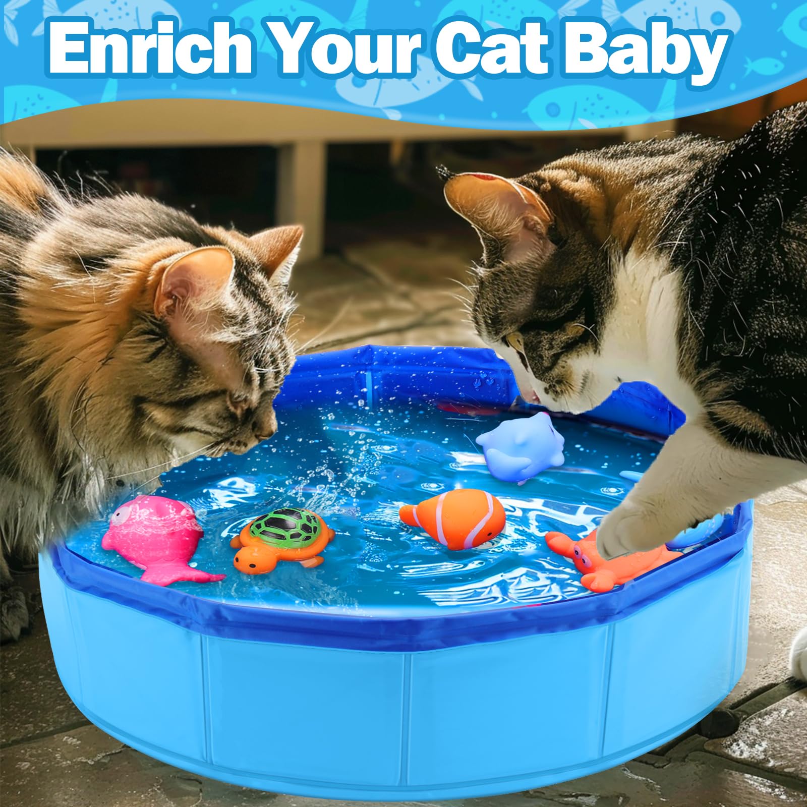 ✨LAST DAY ONLY 49% OFF🔥 Water Cat Toys