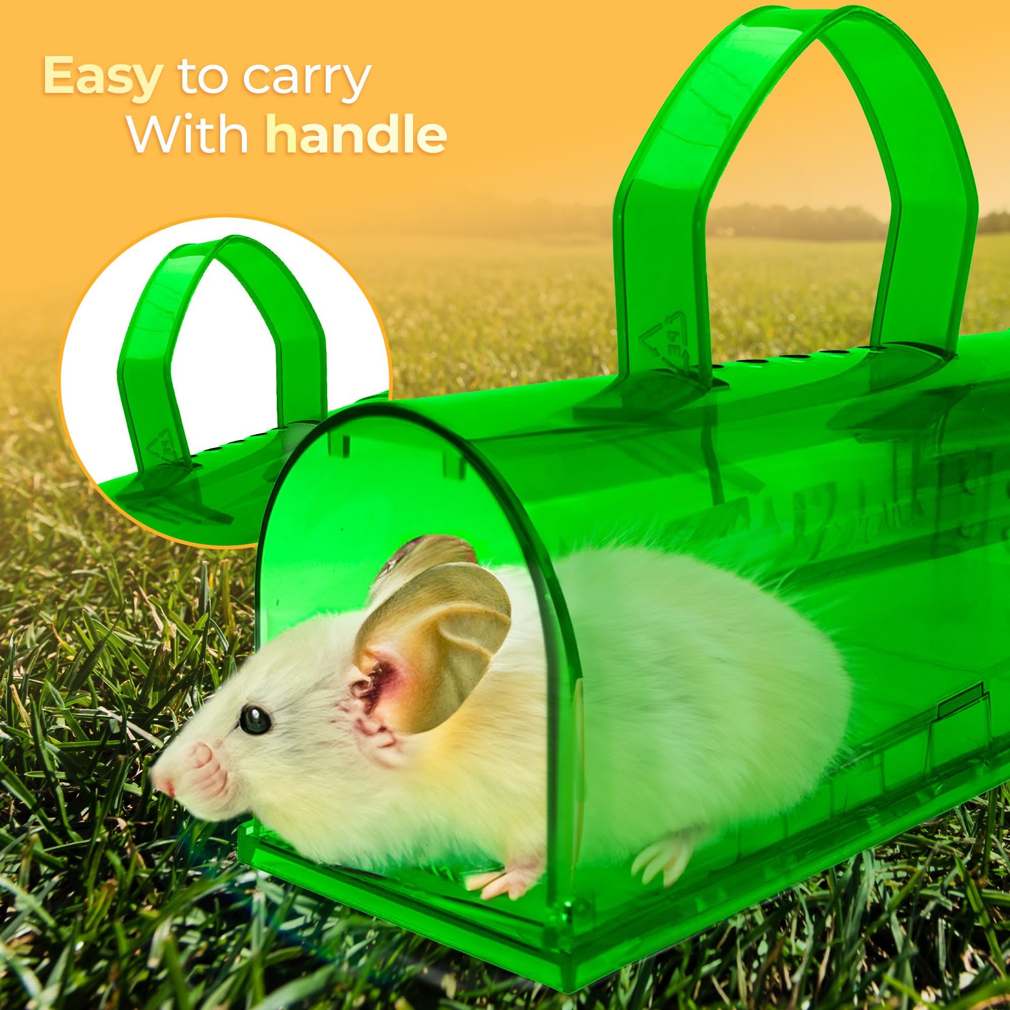 Reusable humane mouse trap