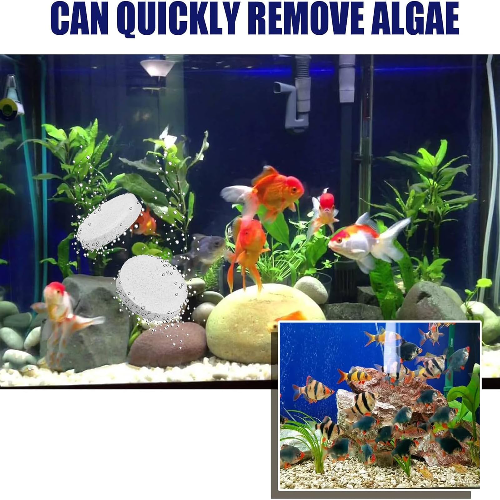 🔥Hot Sale🔥Powerful Aquarium Water Purification Tablet