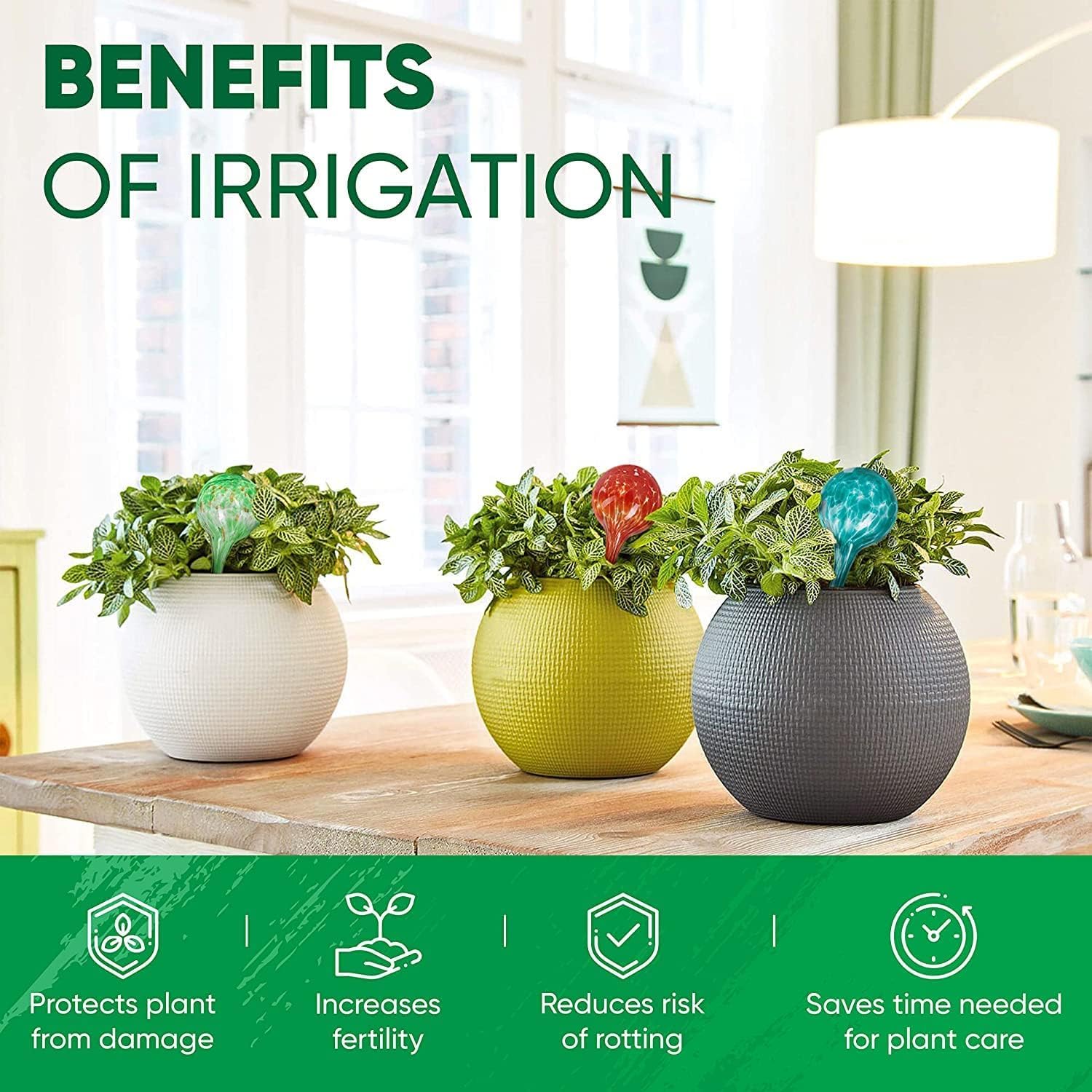 Plant Watering Globes