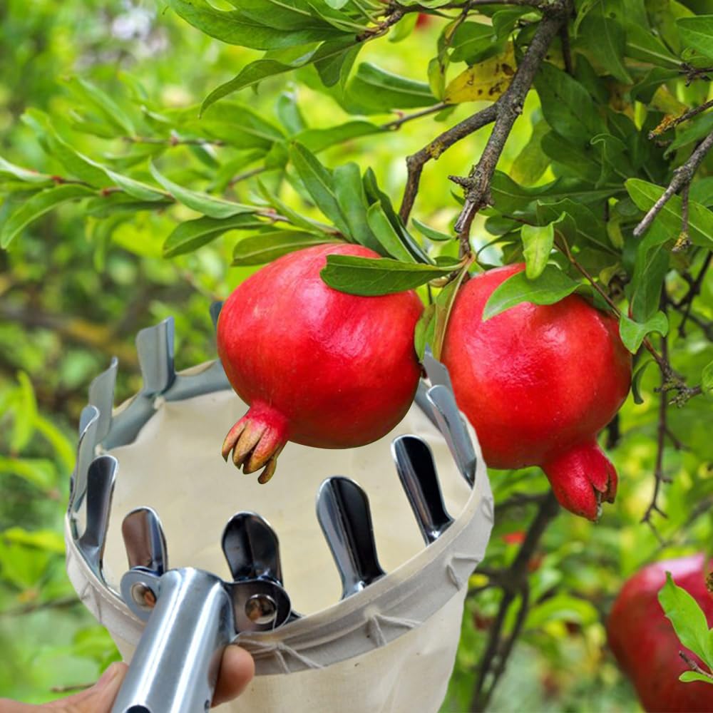 6.3 inch Fruit Picker Head Basket