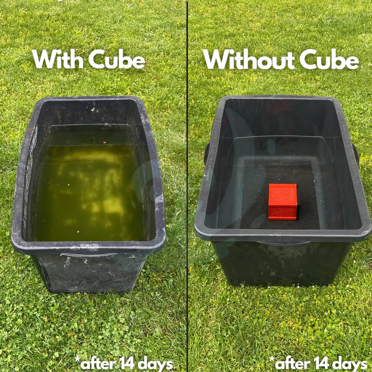 Pure Cube Water Trough Filter 2.0