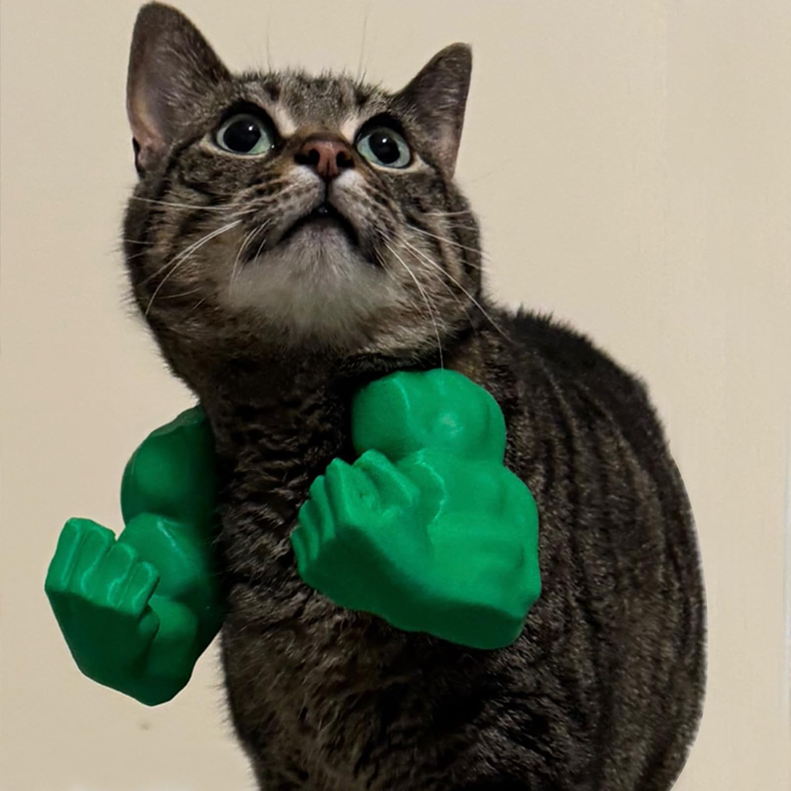 🔥2025 Summer Hot Sale - 48% OFF🔥Cat Muscle Arms – Funny 3D Printed Hulk Arms for Cats💪