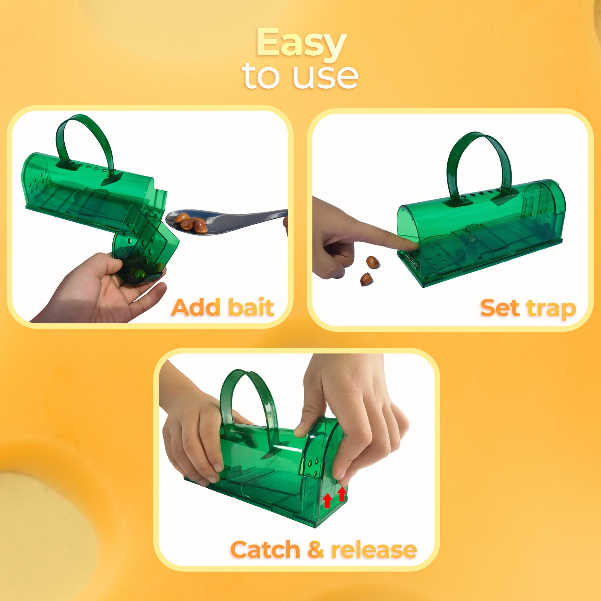 Reusable humane mouse trap