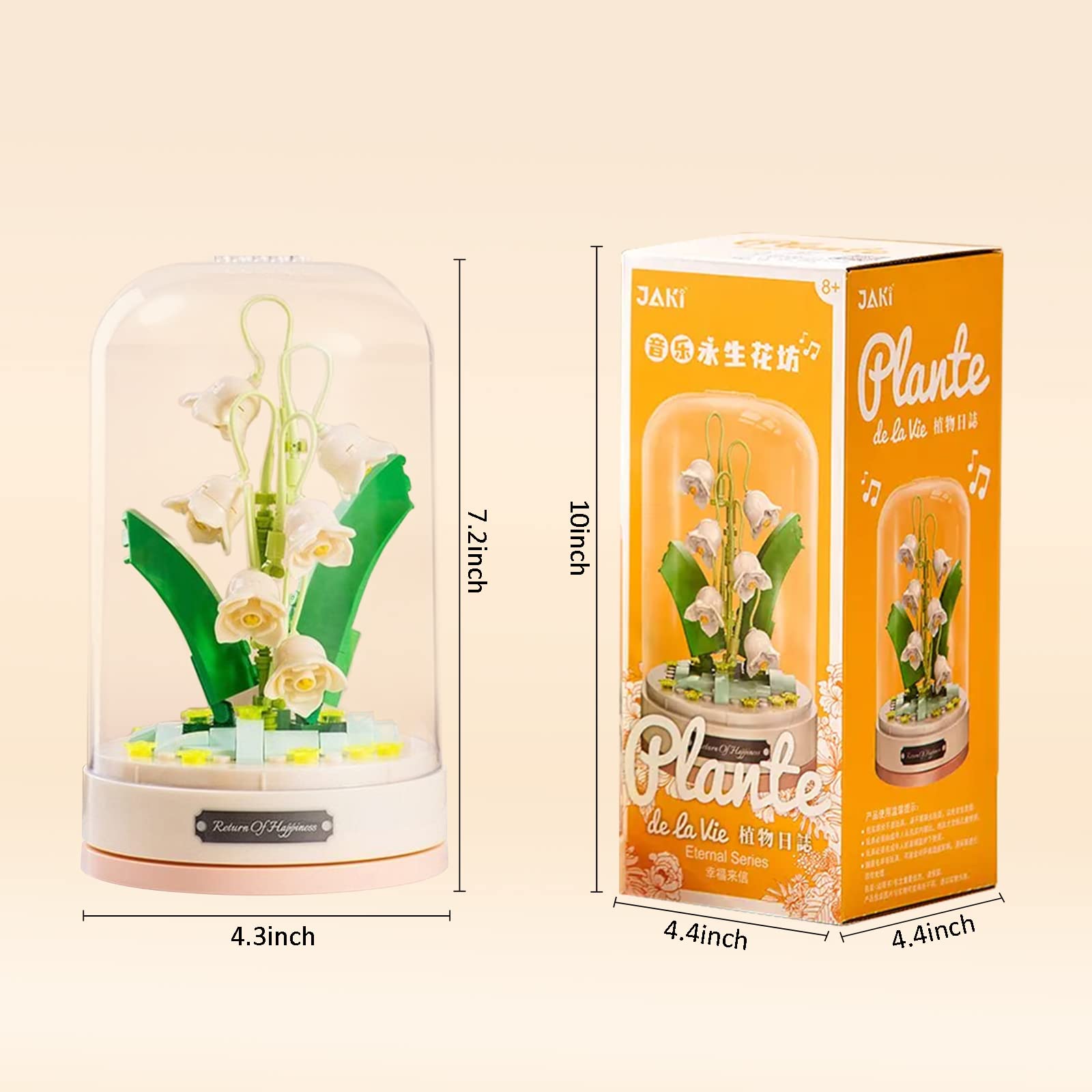 Music Box & Building Blocks