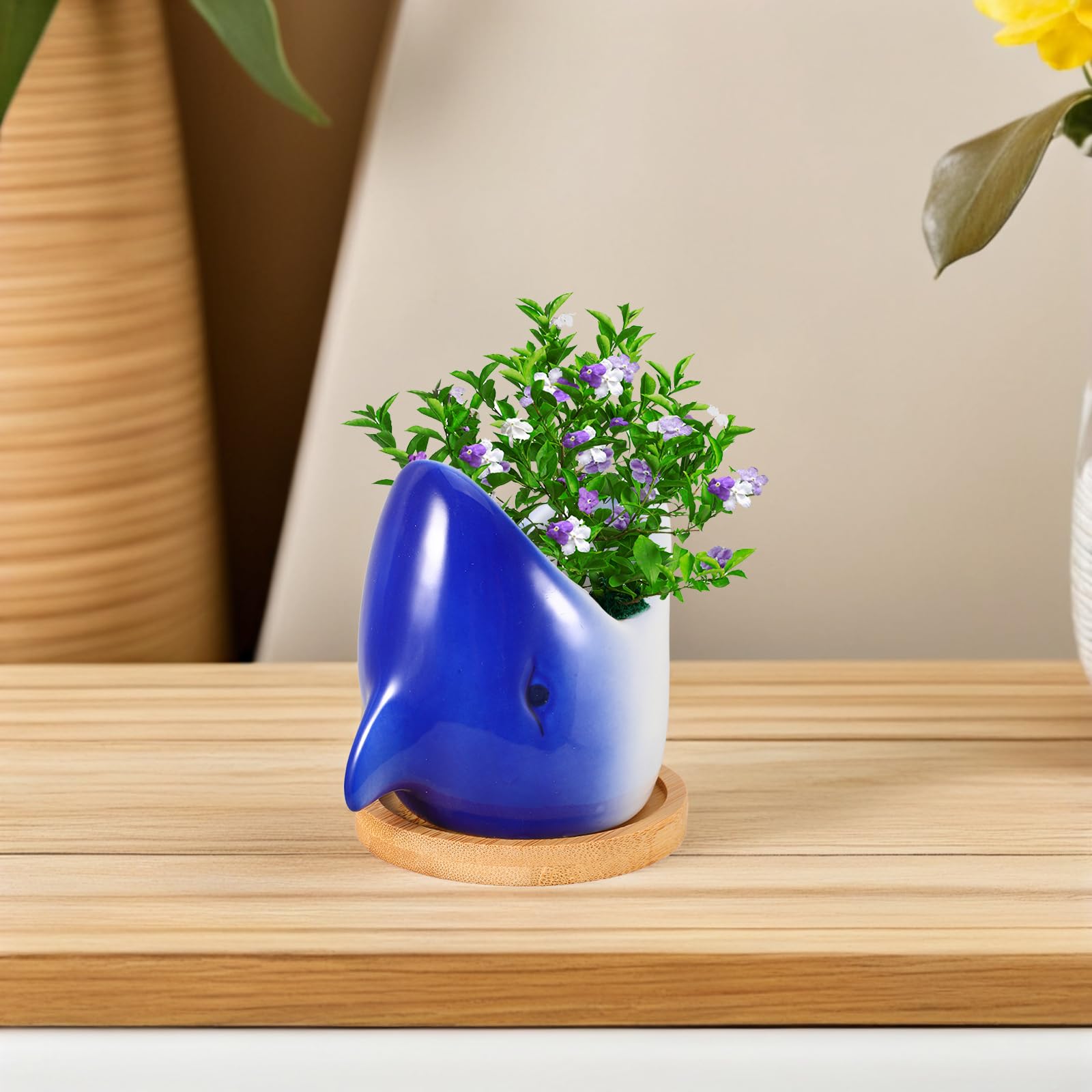 Big Mouth Shark Planter