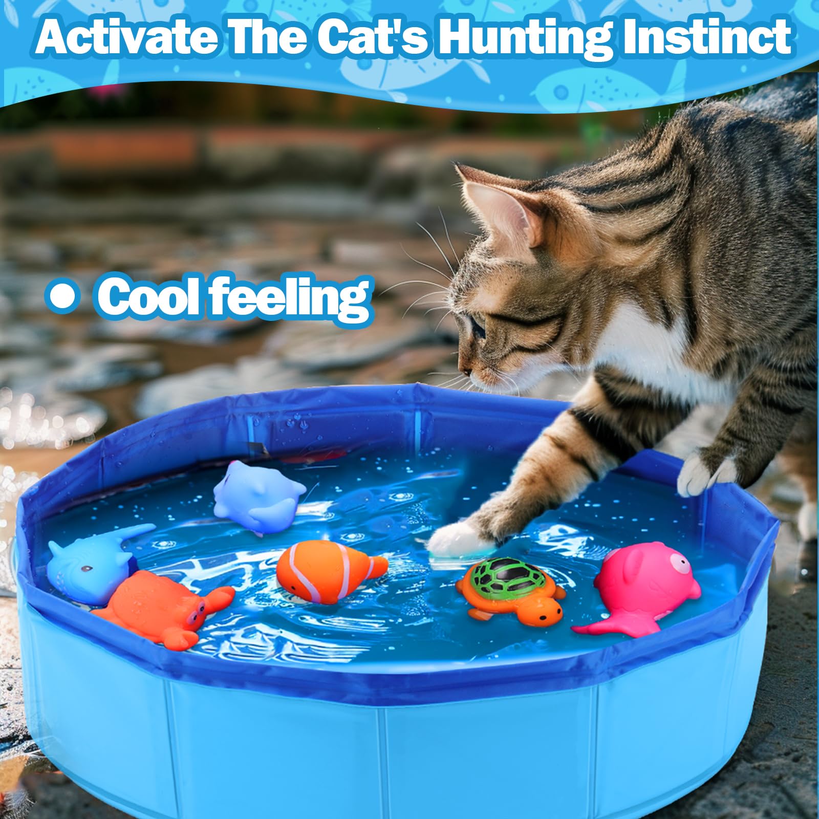 ✨LAST DAY ONLY 49% OFF🔥 Water Cat Toys