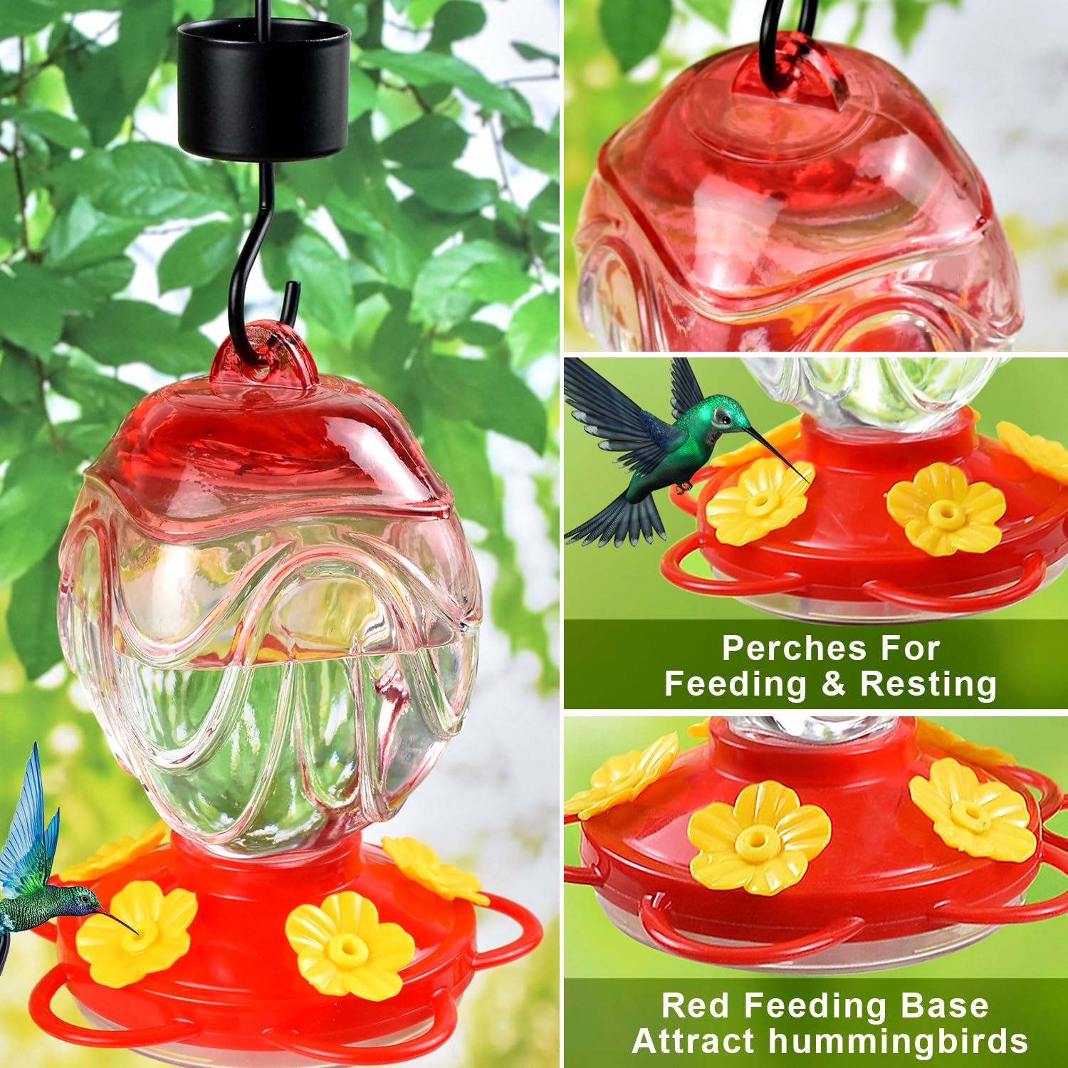 Glass Hummingbird Feeders for Outdoors Hanging 15oz