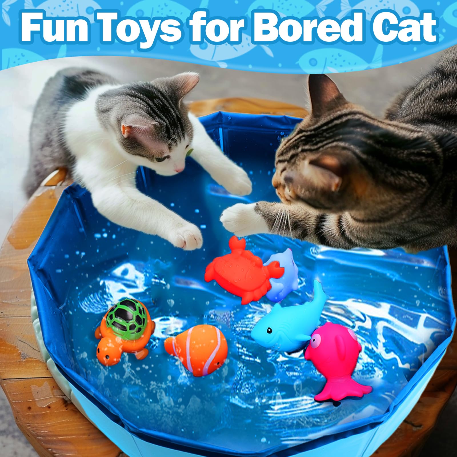 ✨LAST DAY ONLY 49% OFF🔥 Water Cat Toys
