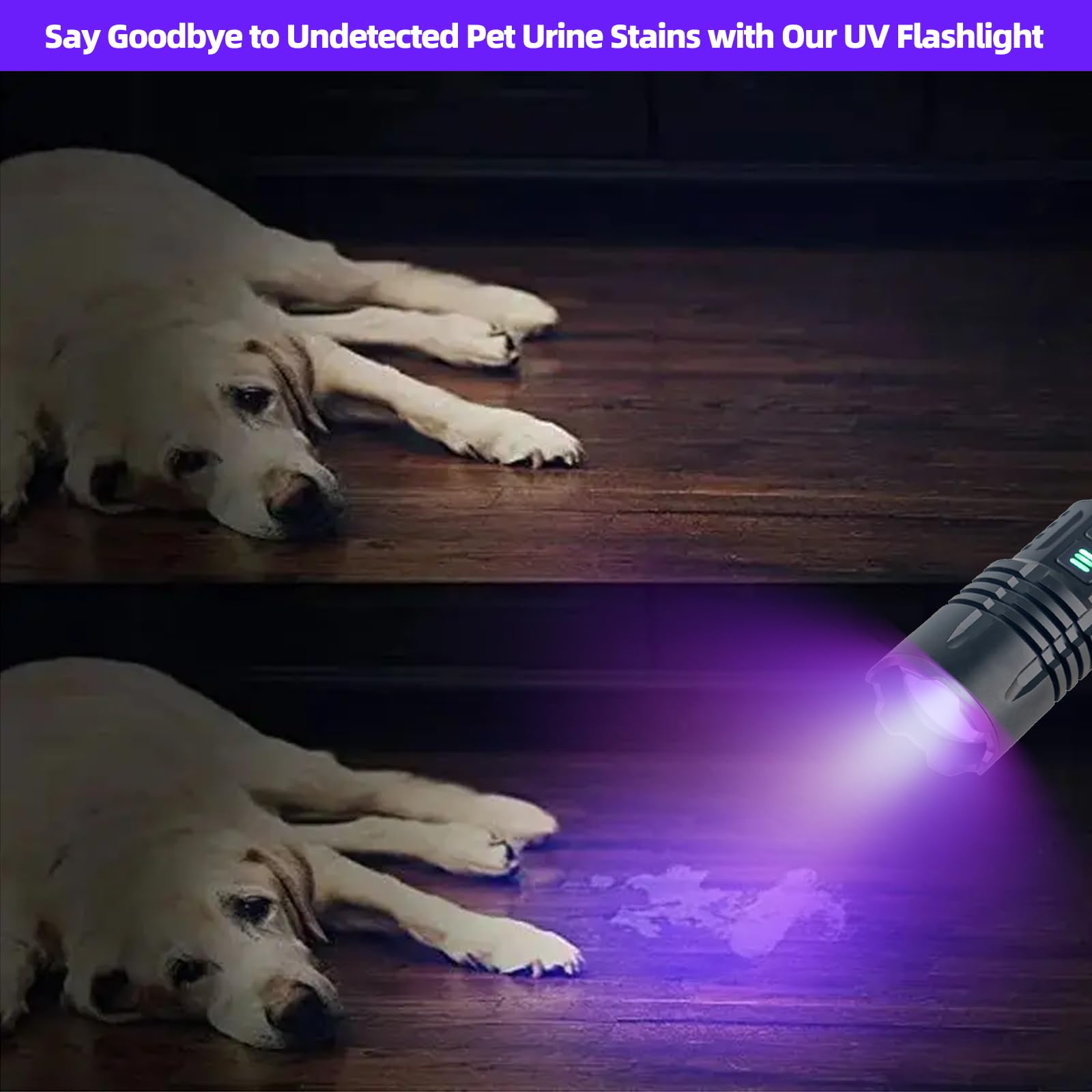 UV Blacklight&High Lumens Flashlight Rechargeable