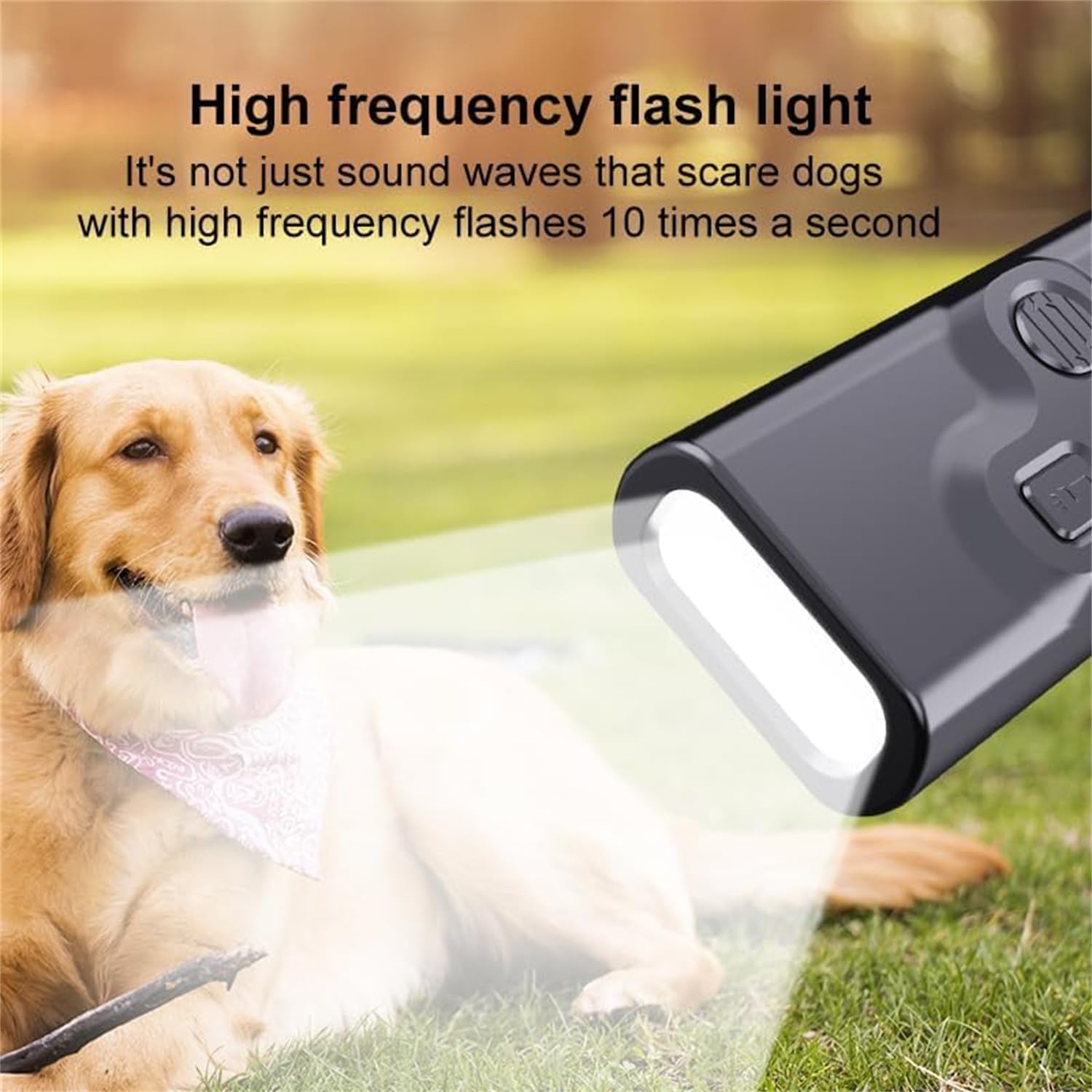 2025 Best Anti Barking Device for Dogs