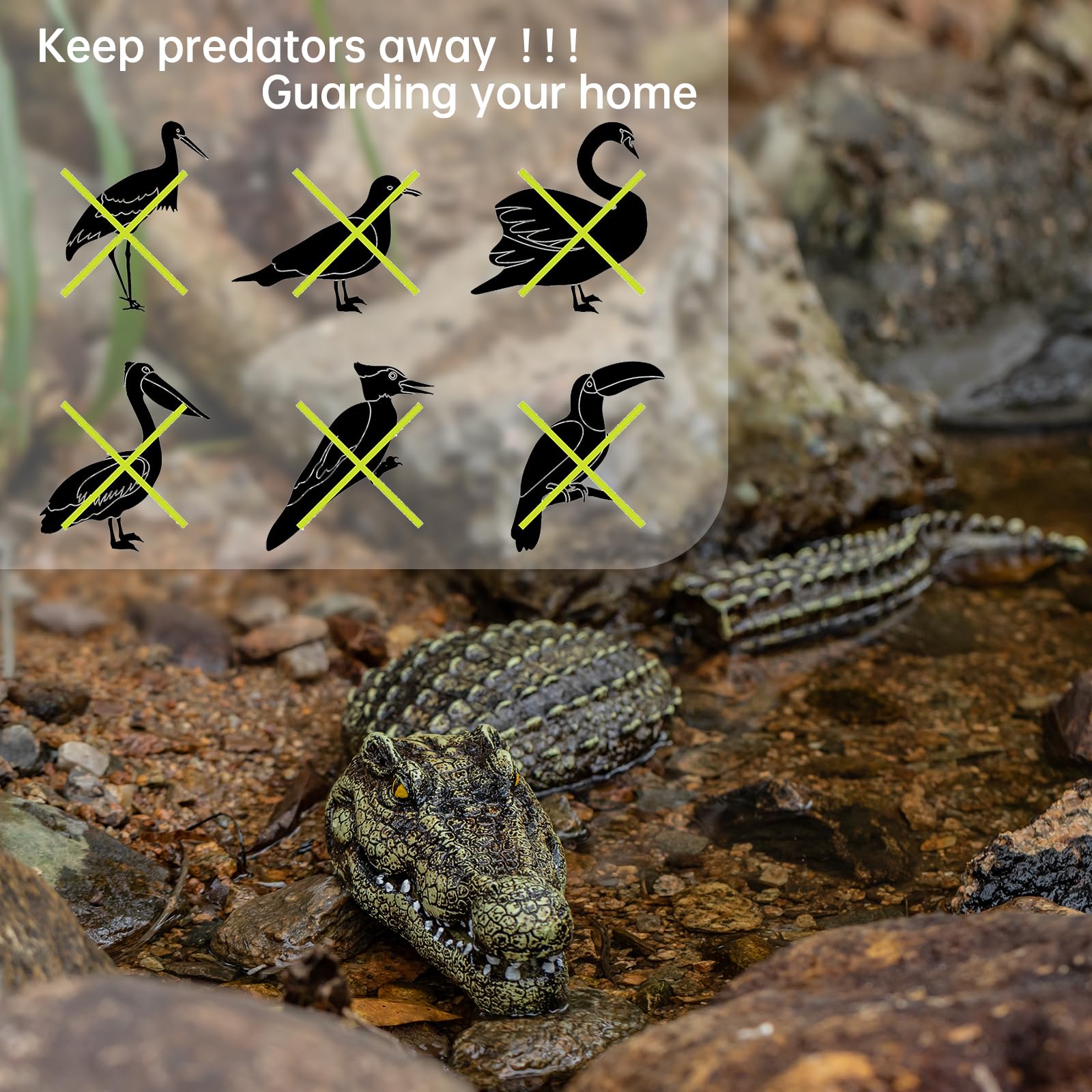 Three-Section Simulation Floating Crocodile