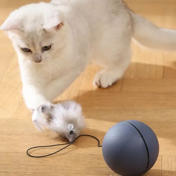 Cat Interactive Ball Smart Cat DogToys Electronic Interactive