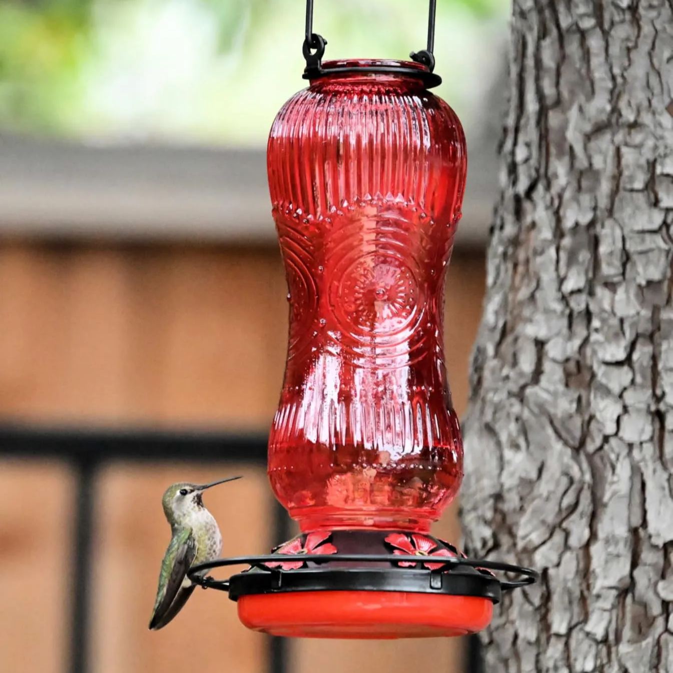 Vintage Style Glass Hummingbird Feeder